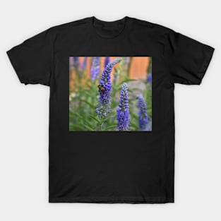 Honey Bee in a summer time garden T-Shirt